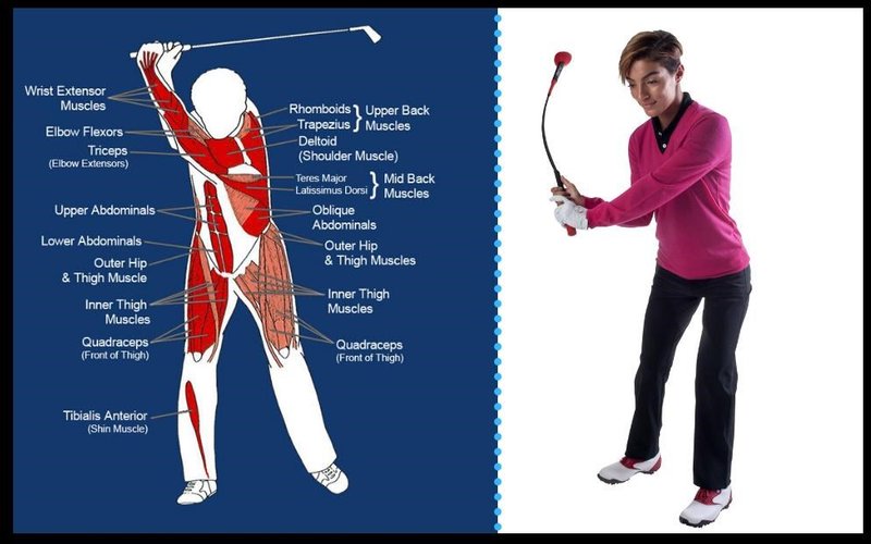 Pure 2 Improve Pure2Improve Tempo Trainer (122cm / 48") ayuda de entrenamiento