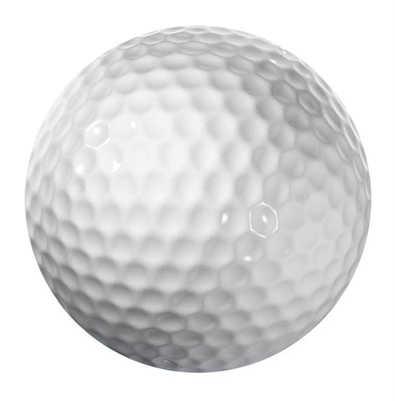 Longridge Blank 2-Piece pelotas de golf
