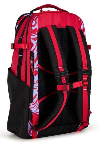 Ogio Alpha 25L Backpack bolsa