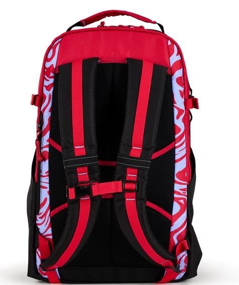 Ogio Alpha 25L Backpack bolsa