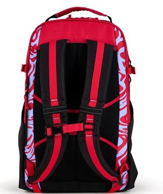 Ogio Alpha 25L Backpack bolsa