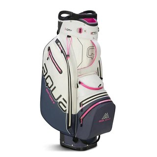 Big Max AQUA Sport 4 bolsa de carro, off white/steel blue/fuchsia