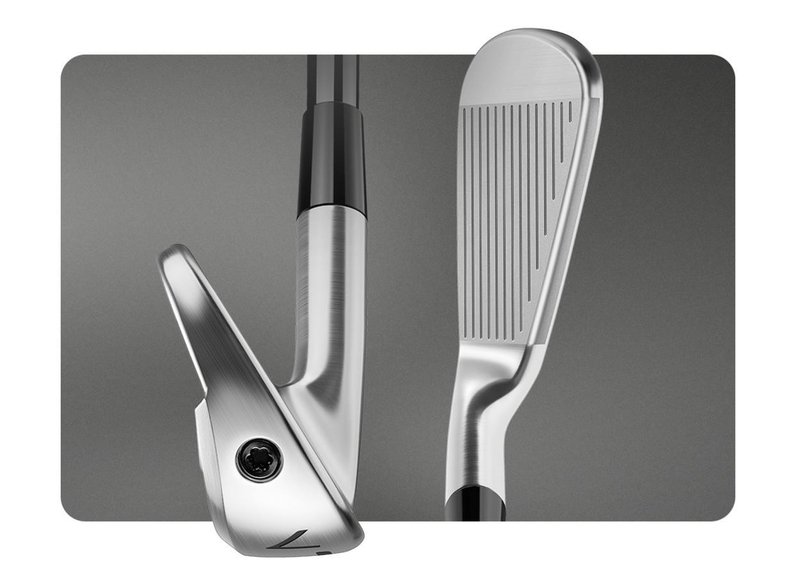 TaylorMade P770 hierros de hombre, acero