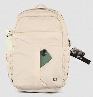 Ogio Rise Backpack 20L frost bolsa
