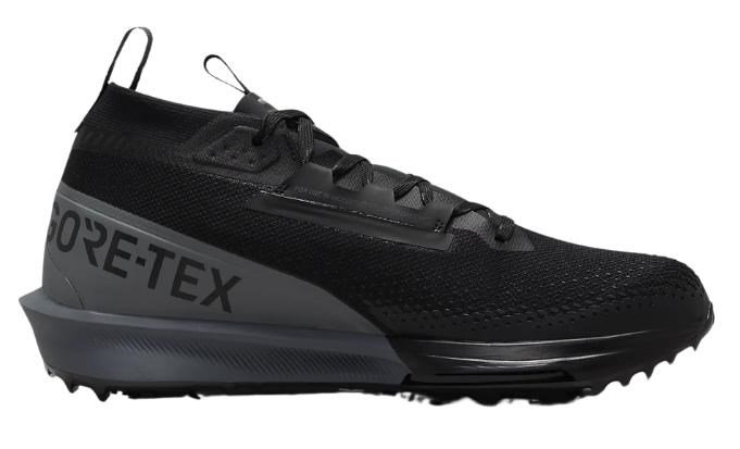 Nike Golf Nike Infinity Tour 2 Gore-Tex zapatos de golf para hombre, negros