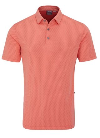 PING Hershel polo de hombre, dubarry multi