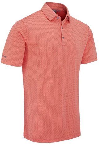 PING Hershel polo de hombre, dubarry multi