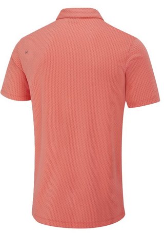 PING Hershel polo de hombre, dubarry multi