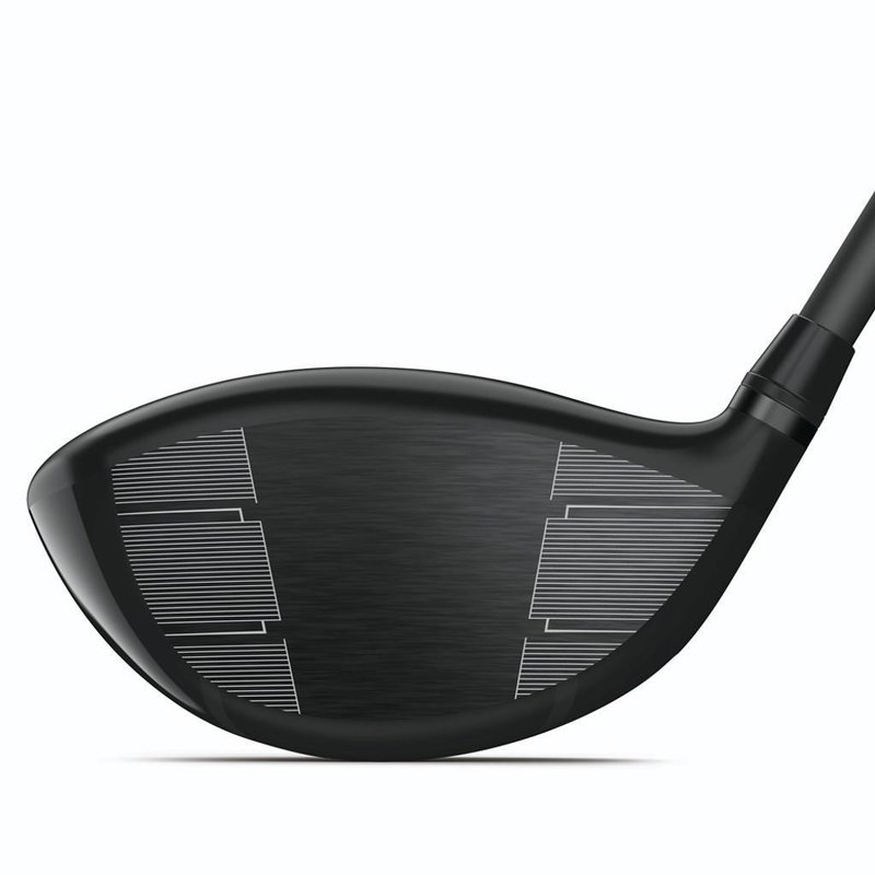 Wilson Dynapower LS driver de hombre