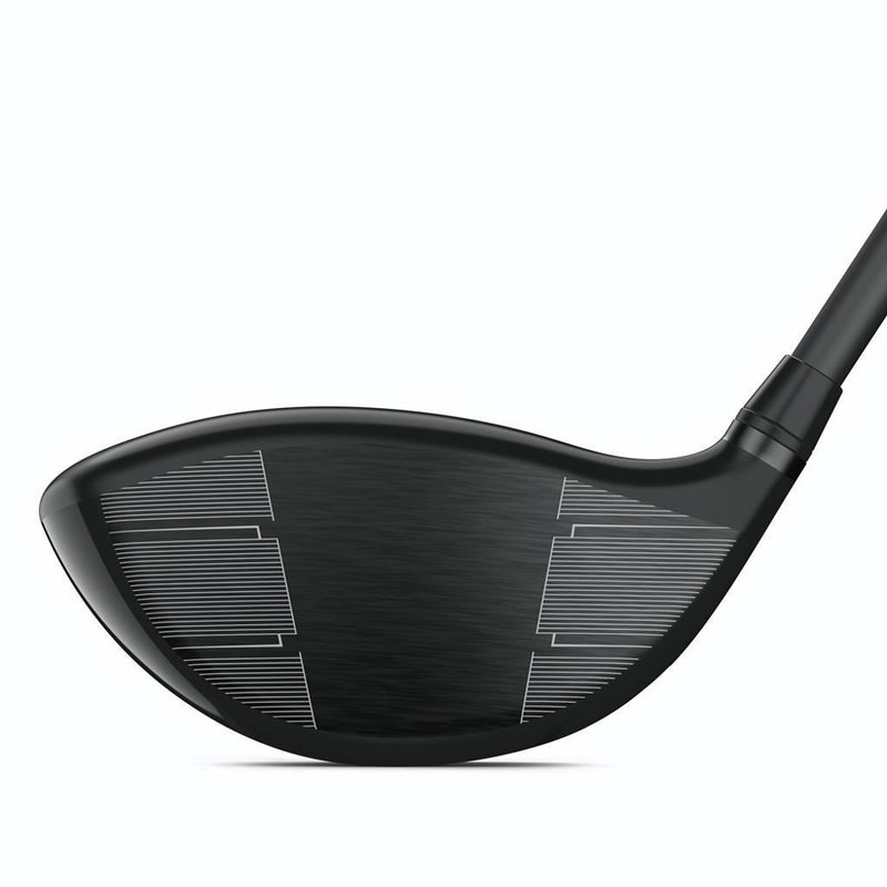 Wilson Dynapower Carbon driver de hombre