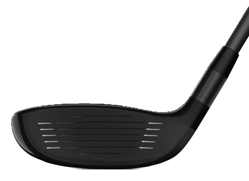 Wilson Dynapower hybrid de hombre 2025