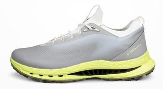Ecco Biom C5 zapatos de golf para hombre, grises