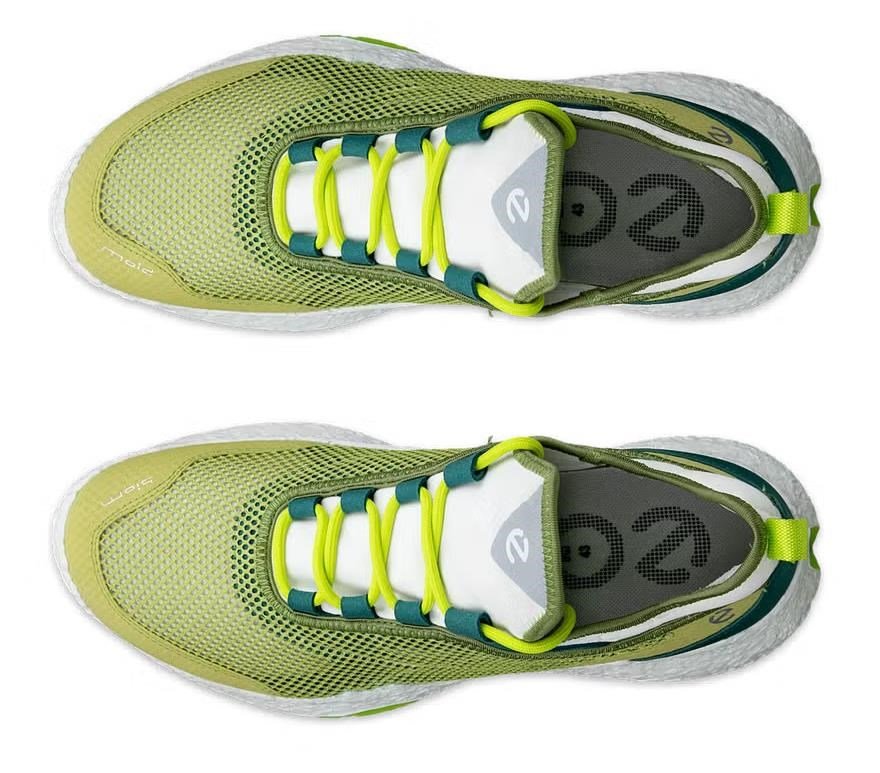 Ecco Ecco Biom H5 golf shoes para hombre, verdes