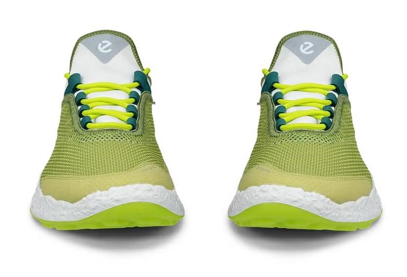 Ecco Ecco Biom H5 golf shoes para hombre, verdes