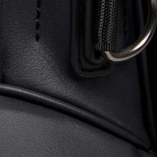 Titleist Linkslegend Members stand bag, negro