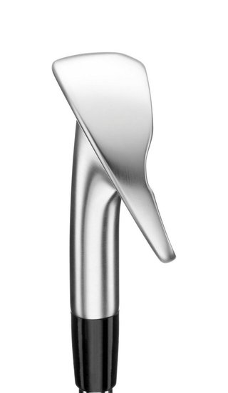 Mizuno Golf Mizuno Pro M-13 hierros, acero