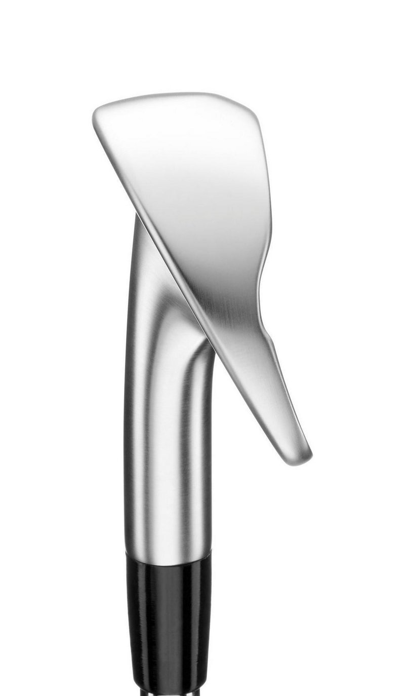 Mizuno Golf Mizuno Pro M-13 hierros, acero