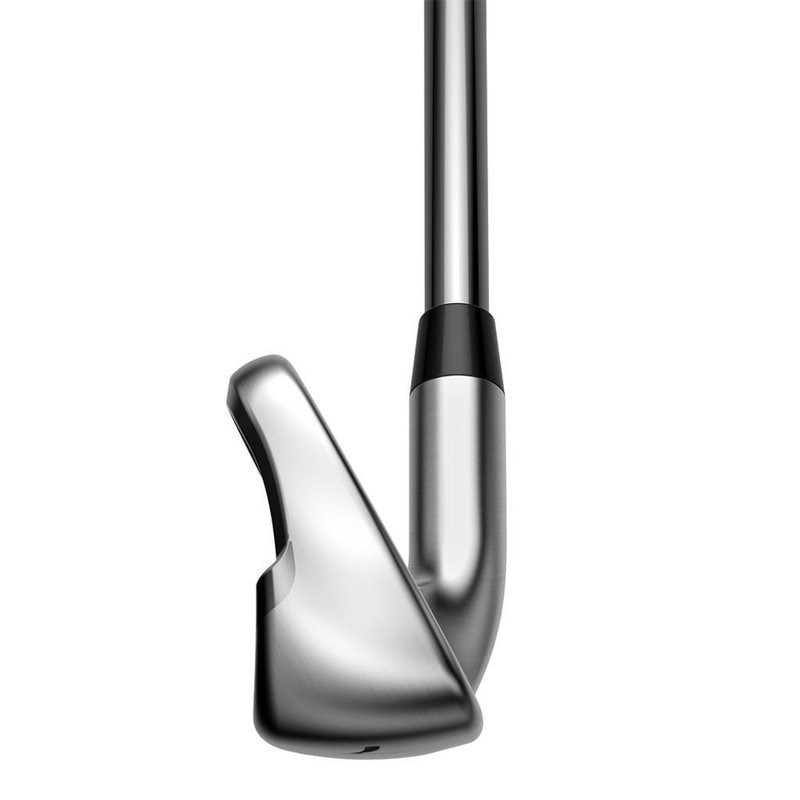 Cobra Golf Cobra KING MAX irons, grafito