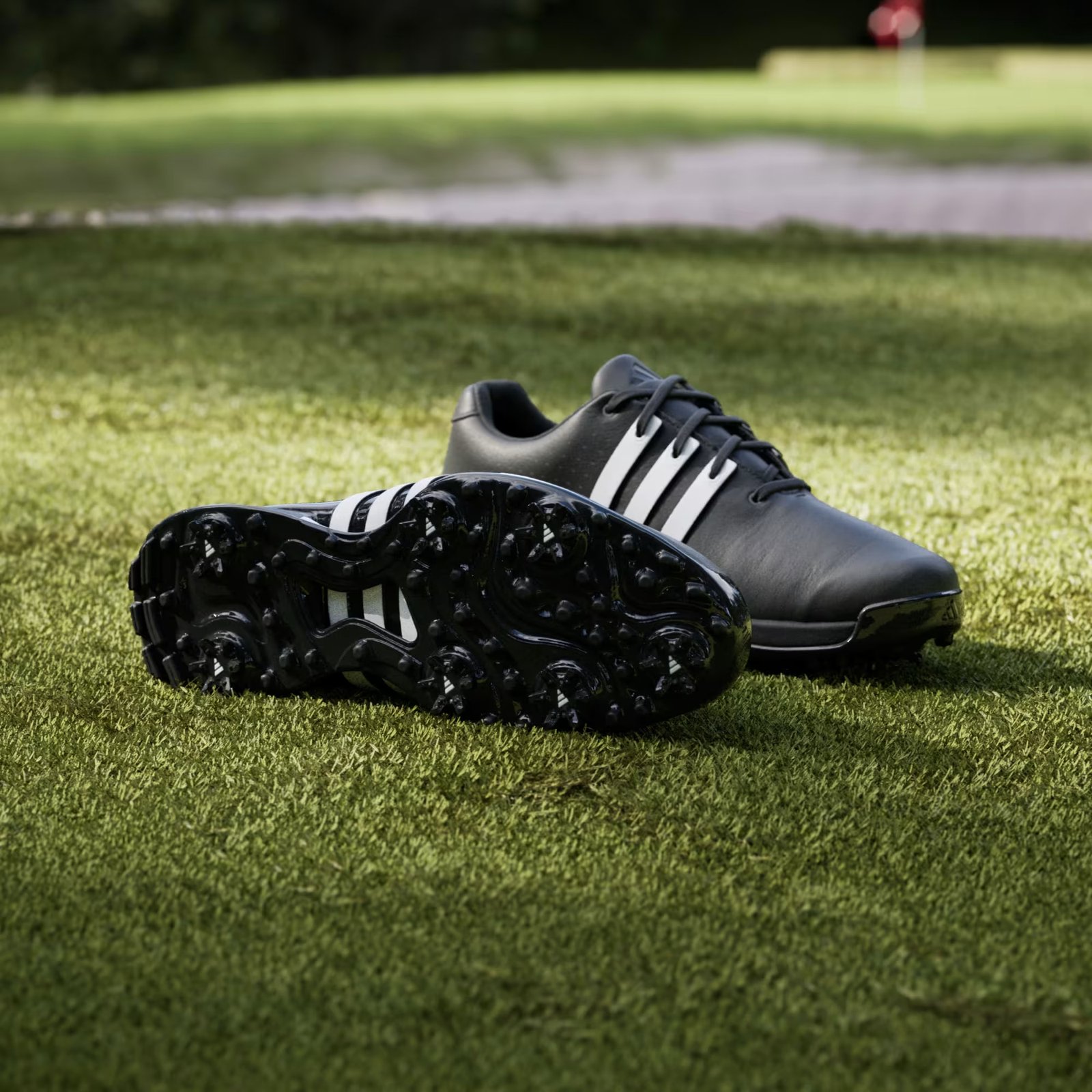 Adidas Tour360 24 zapatos de golf para hombre, negro