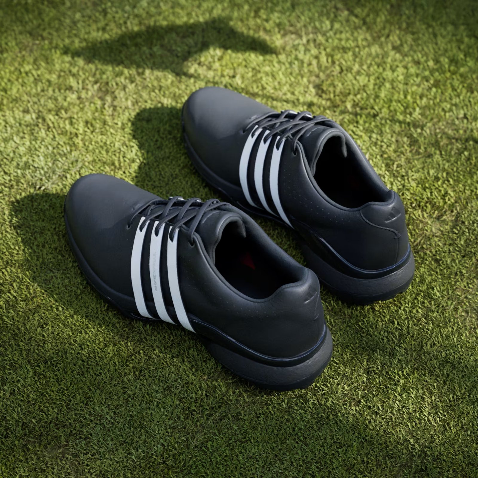 Adidas Tour360 24 zapatos de golf para hombre, negro