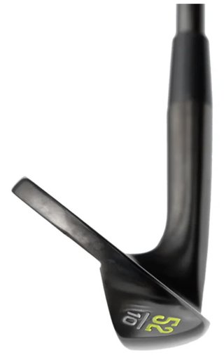Head Golf Forged wedge, acero